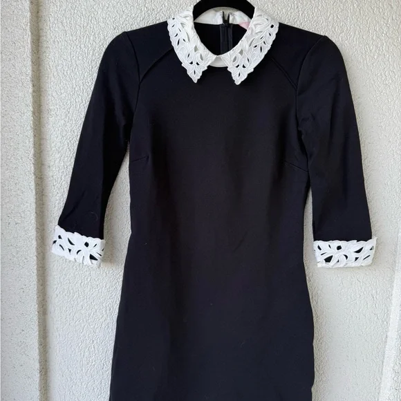 Ted Baker London Currie Lace Collar Tunic - Picture 4 of 5
